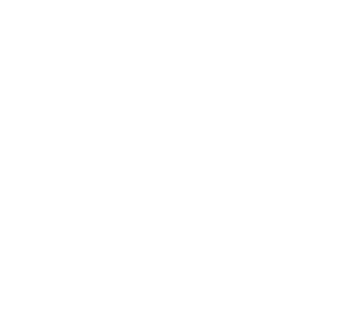 Icon-white-1000x942